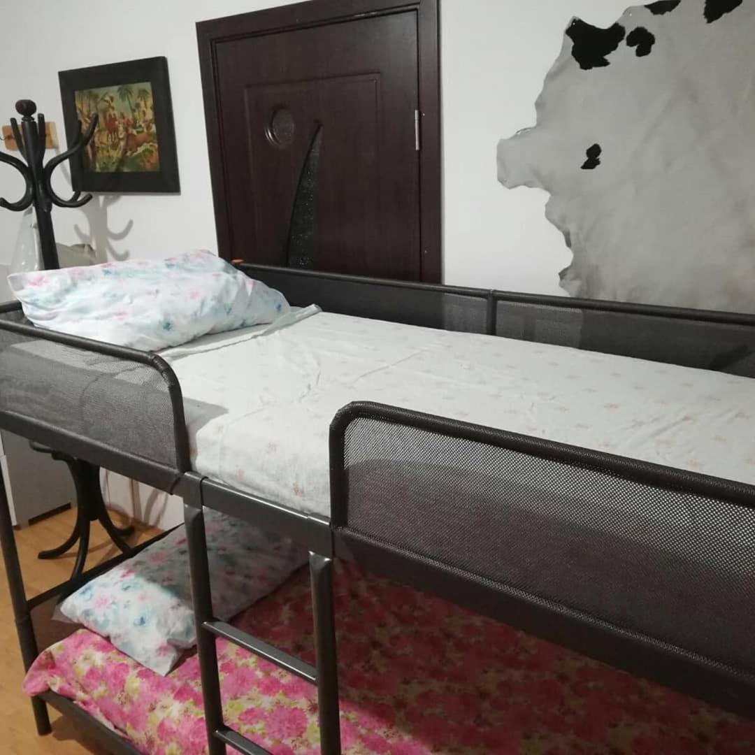 Leyla Hostel บราชอฟ ภายนอก รูปภาพ