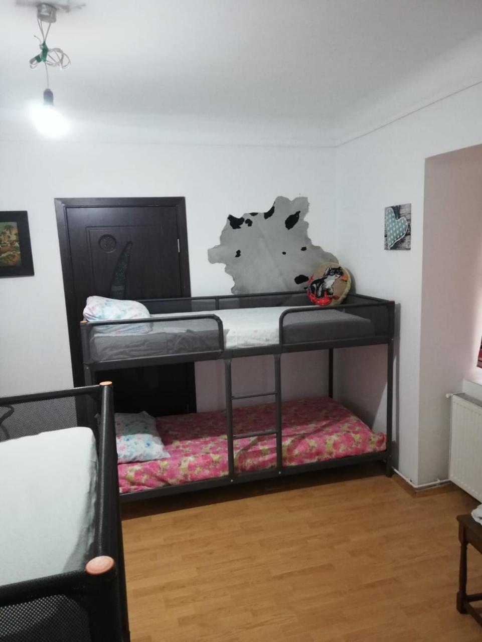 Leyla Hostel บราชอฟ ภายนอก รูปภาพ