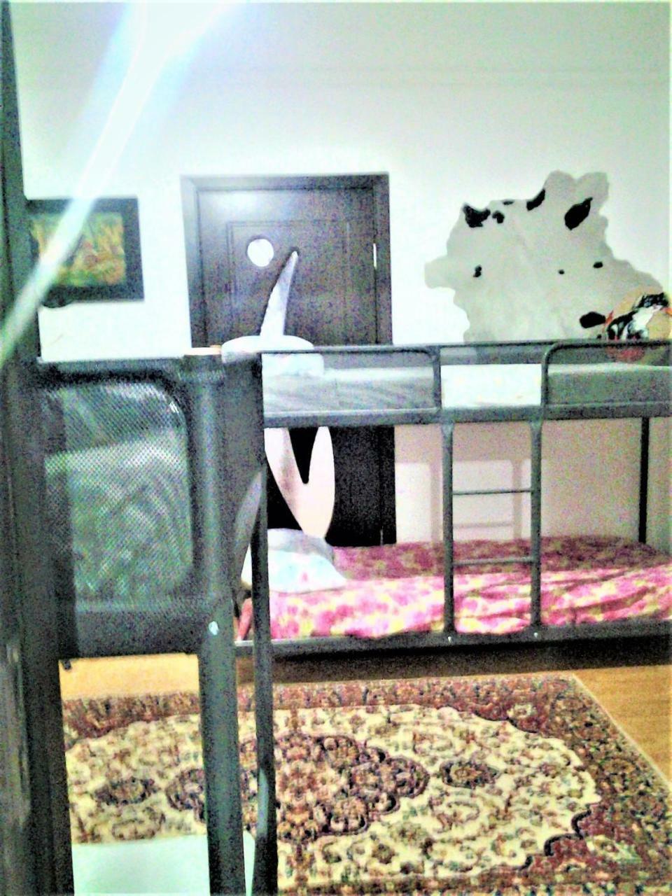 Leyla Hostel บราชอฟ ภายนอก รูปภาพ
